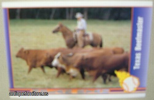 Antique Nolan Ryan Baseball Card
