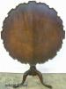  Mahogany Pie Crust Tilt Top Table With Talon Feet 