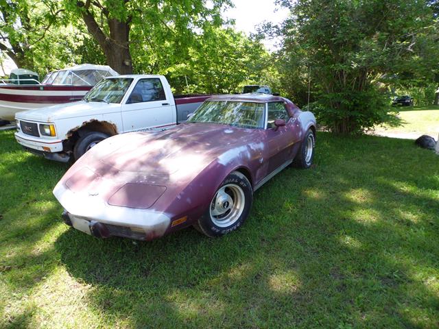 June 2013 Antique Picking Photo by John Reinhart