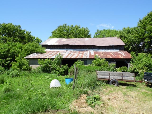 June 2013 Antique Picking Photo by John Reinhart