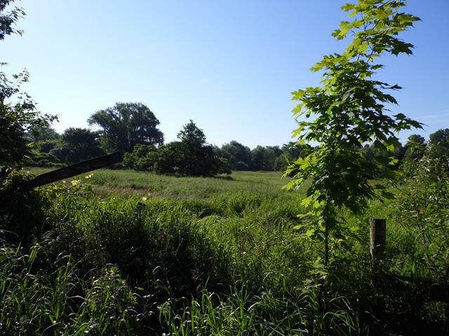 June 2013 Antique Picking Photo by John Reinhart