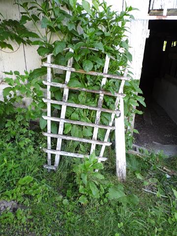 June 2013 Antique Picking Photo by John Reinhart