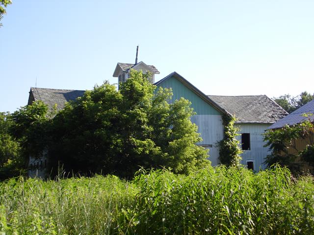 June 2013 Antique Picking Photo by John Reinhart