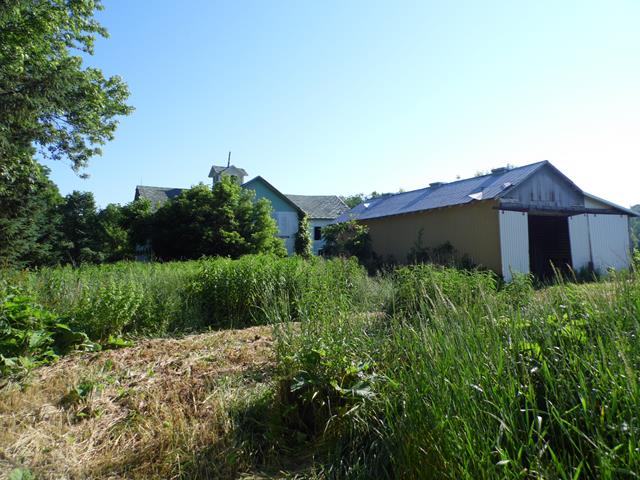 June 2013 Antique Picking Photo by John Reinhart