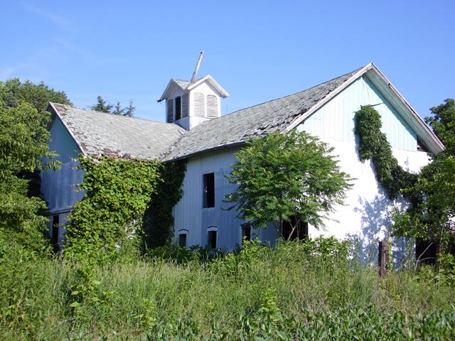 June 2013 Antique Picking Photo by John Reinhart