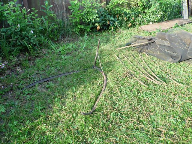 June 2013 Antique Picking Photo by John Reinhart
