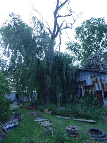 June 2013 Antique Picking Photo by John Reinhart
