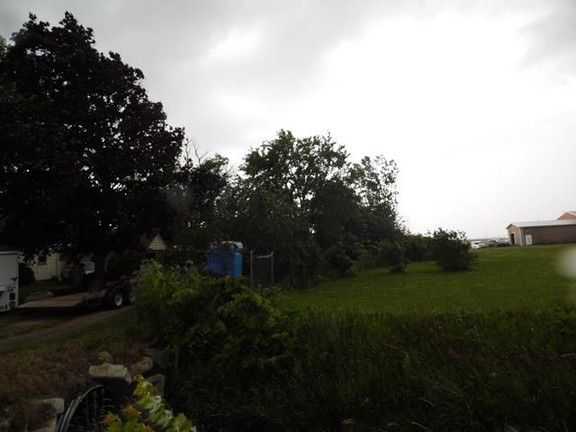 June 2013 Antique Picking Photo by John Reinhart