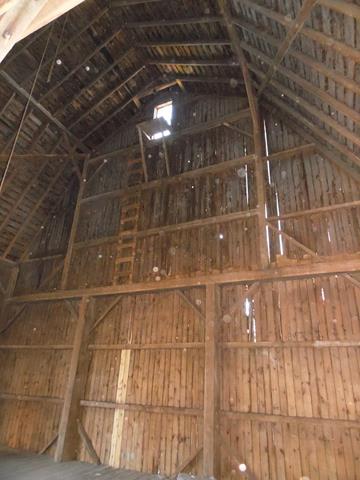 July 2013 Antique Picking Photo by John Reinhart