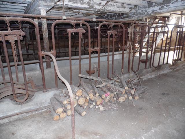 July 2013 Antique Picking Photo by John Reinhart