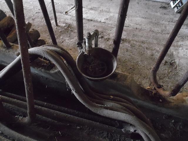 July 2013 Antique Picking Photo by John Reinhart