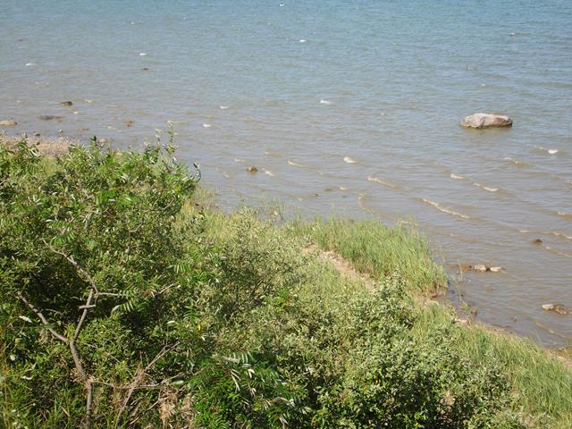 August 2013 Antique Picking Photo by John Reinhart