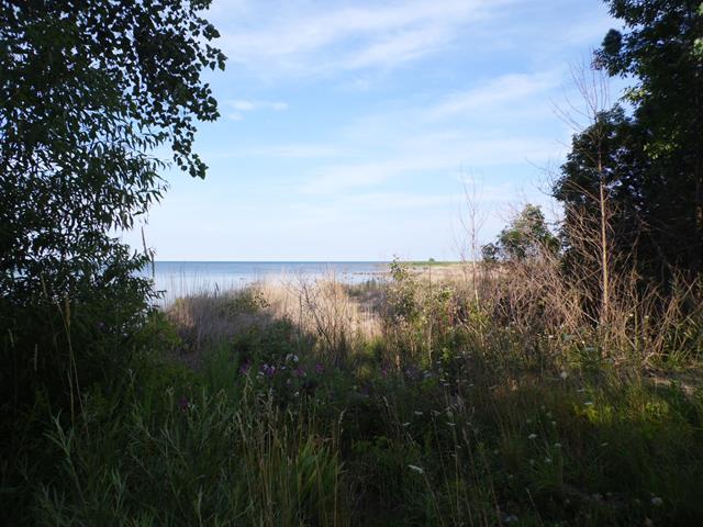 August 2013 Antique Picking Photo by John Reinhart