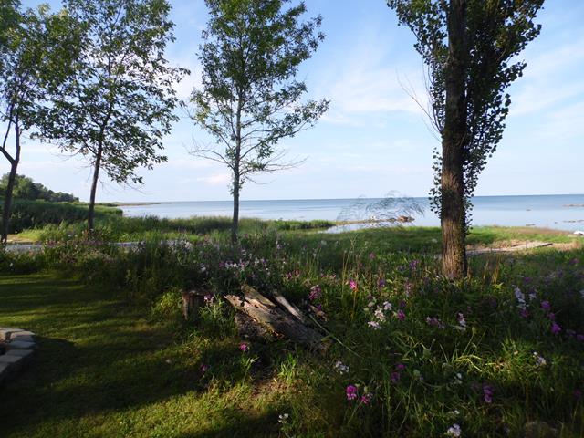 August 2013 Antique Picking Photo by John Reinhart