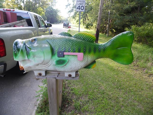 August 2013 Antique Picking Photo by John Reinhart