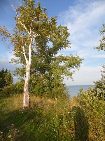 August 2013 Antique Picking Photo by John Reinhart