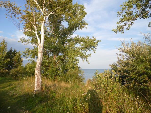 August 2013 Antique Picking Photo by John Reinhart
