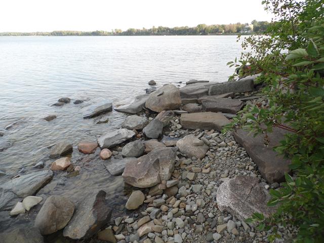 August 2013 Antique Picking Photo by John Reinhart