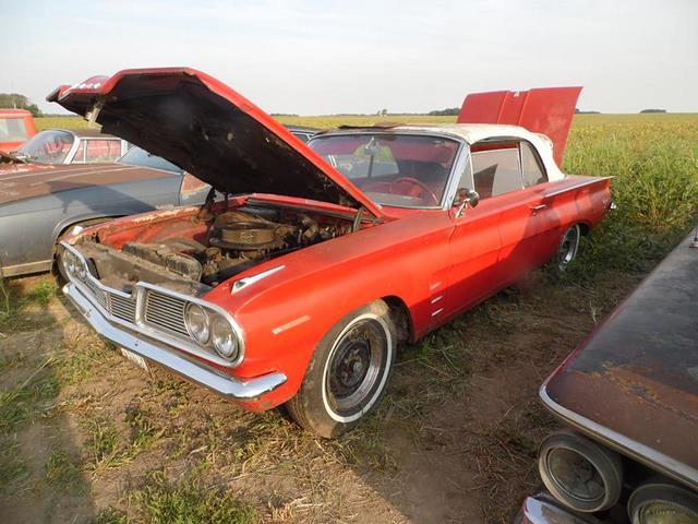 September 2013 Antique Picking Photo by John Reinhart