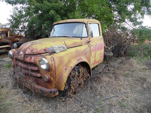 September 2013 Antique Picking Photo by John Reinhart